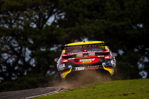 2017 Supercars Championship Round 3. 
Phillip Island 500, Phillip Island, Victoria, Australia.
Friday 21st April to Sunday 23rd April 2017.
Chaz Mostert drives the #55 Supercheap Auto Racing Ford Falcon FGX.
World Copyright: Daniel Kalisz/LAT Images
Ref: Digital Image 210417_VASCR3_DKIMG_1625.JPG